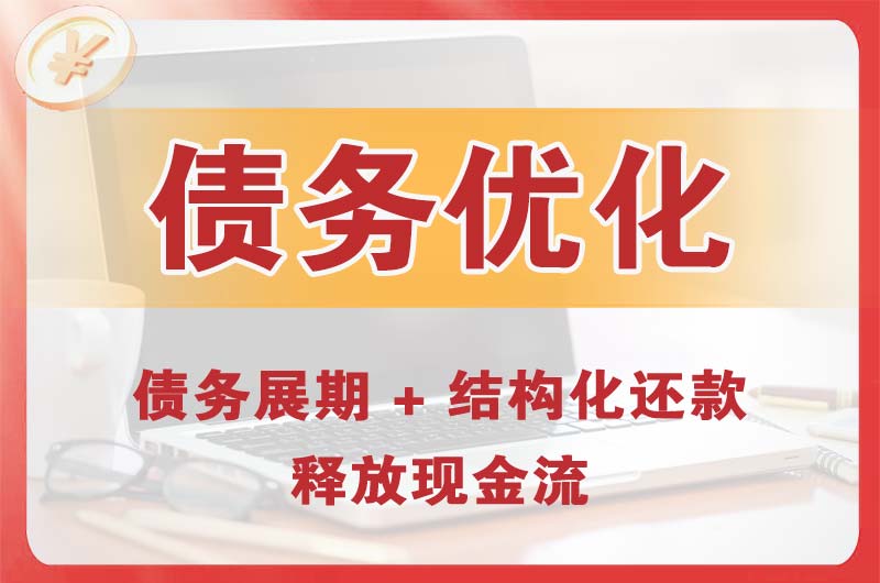 大悟债务优化